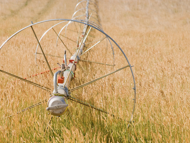 Drought Irrigation